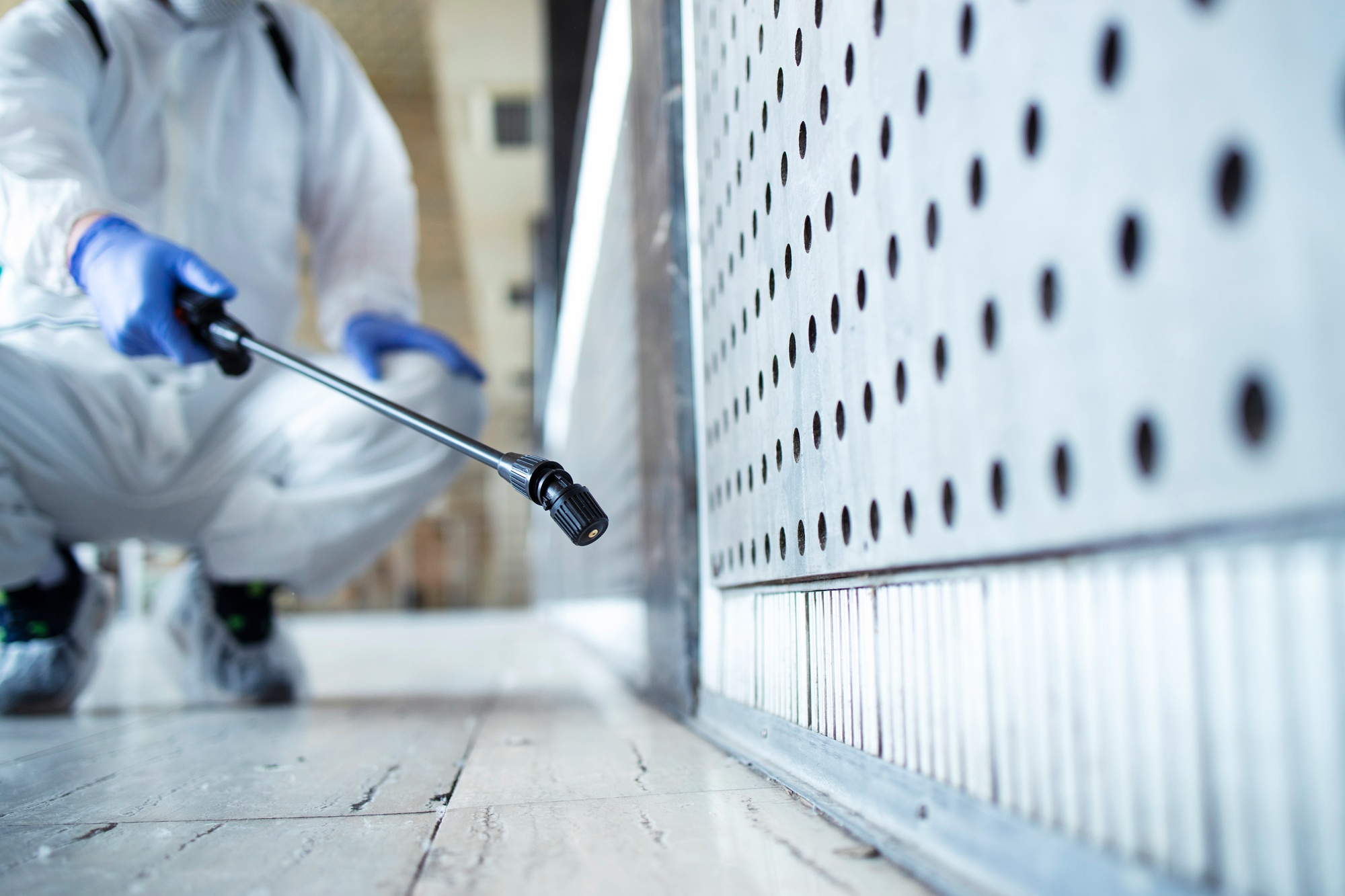 Everything You Need to Know About Commercial Pest Control