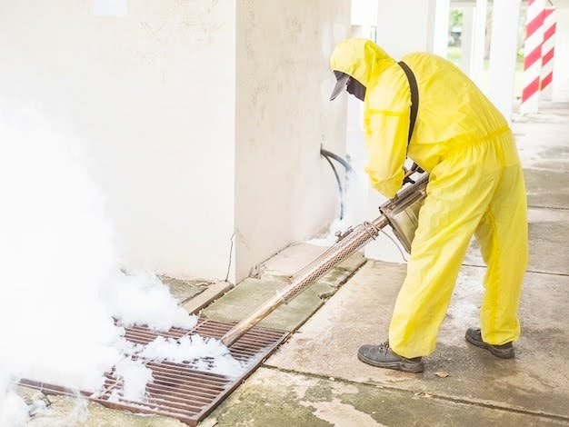 Steps Involved in a Professional Asbestos Removal Project