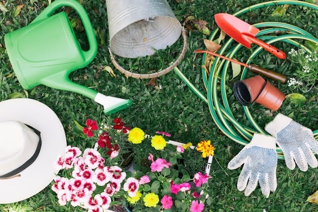Essential Gardening Equipment for Beginners