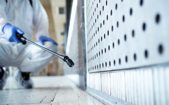 Safeguarding Your Sanctuary: The Essential Benefits of Professional Pest Control Services for Your Home